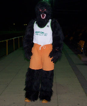 John Moore in a Gorilla costume, over which he is wearing orange knee-length shorts and a Heaton Harriers vest.